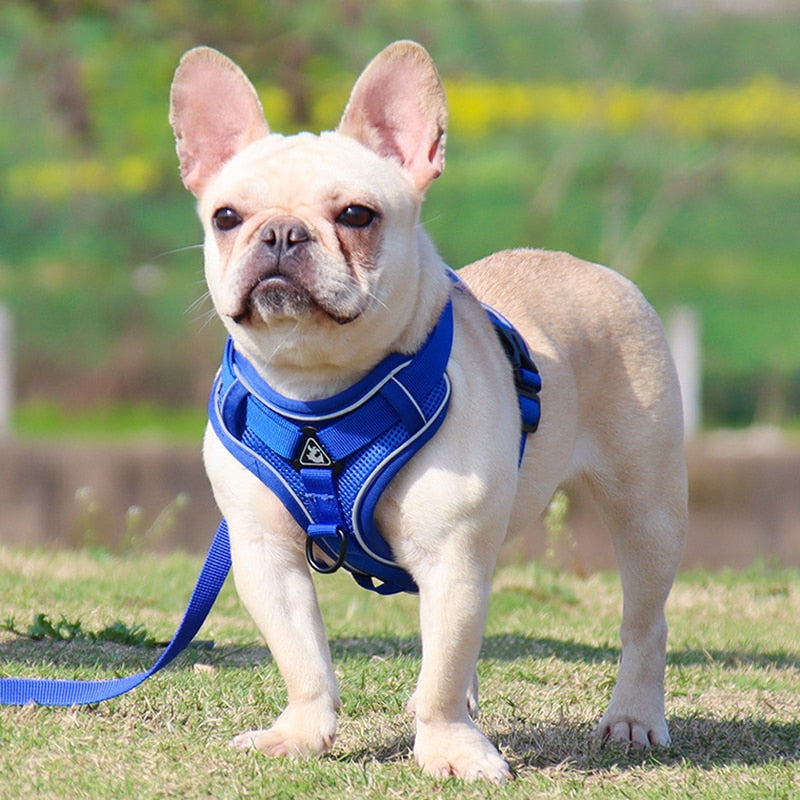 Pet Reflective Dog Harness