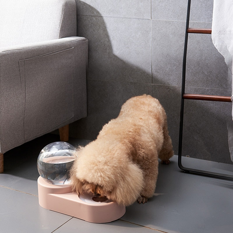 Automatic Pet Feeder